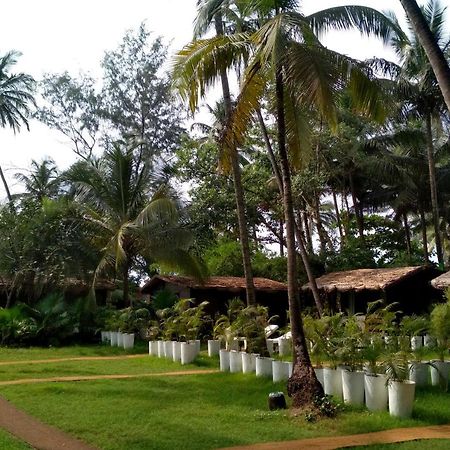 Mamagoa Resort Morjim Buitenkant foto